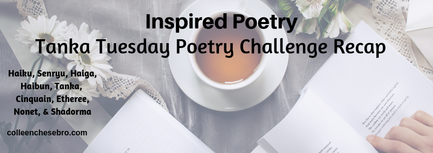 Colleen’s 2019 Weekly #Tanka Tuesday #Poetry Challenge No. 121, “Slow & Work,” #SynonymsOnly